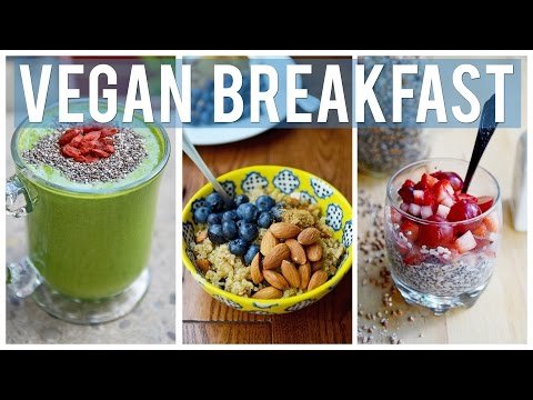 Easy & Healthy Breakfast Ideas | 3 YUMMY VEGAN RECIPES!